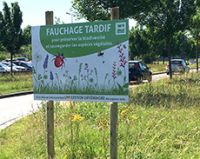 panneau_fauchage-tardif.jpg