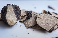 truffe_0085.jpg