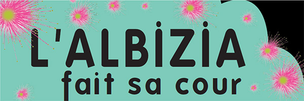 albizia.jpg