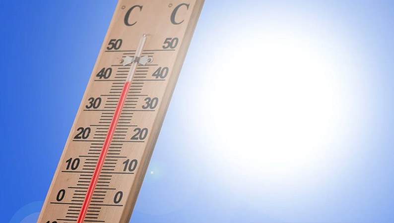 canicule_02.jpg