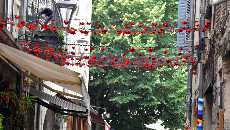 coquelicots02.jpg