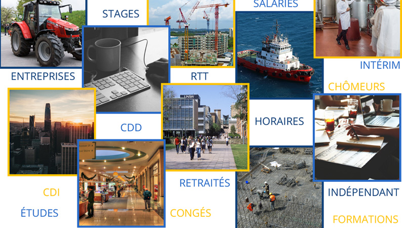 enquete_insee_emploi.jpg
