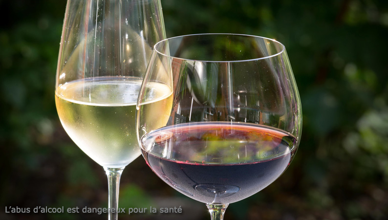fete_des_vins.jpg