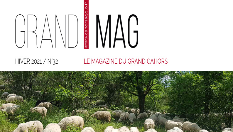 gmag-ndeg32-02.jpg