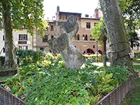 hortus_dames.jpg