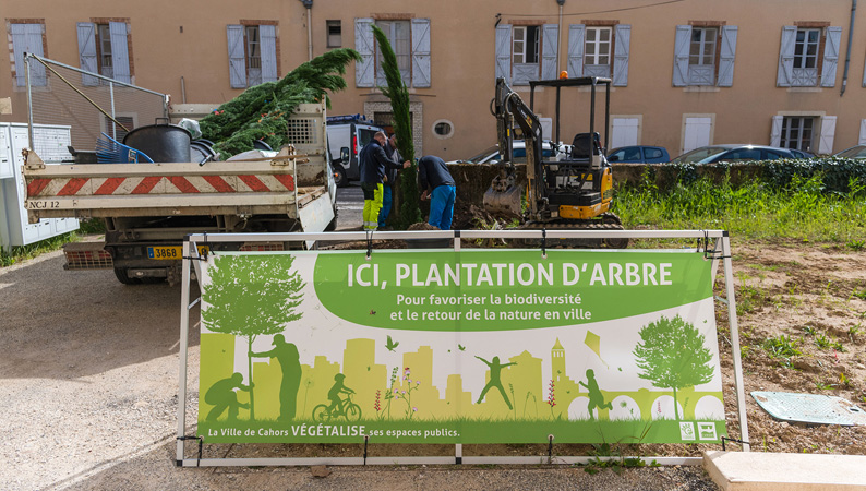 plantation_arbre02.jpg