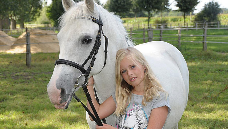 poney_02.jpg