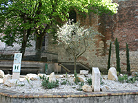 saint-jacques.jpg