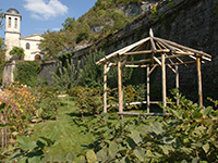 villis.jpg
