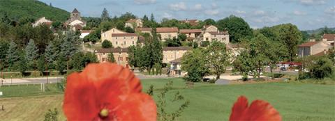 coquelicots